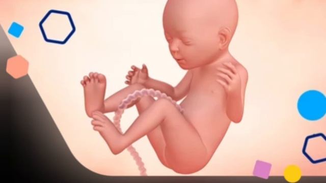 Java e 20 e Shtatzanise. Cfare pritet te ndodhe gjate kesaj jave? смотреть онлайн