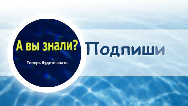А вы знали что люди с голубыми глазами смотреть онлайн