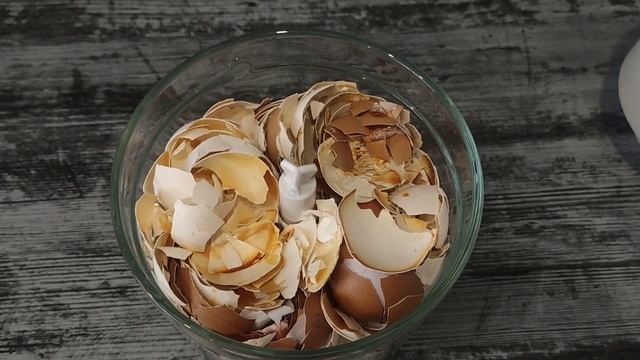 Крепкая, коренастая рассада томатов, что я для этого делаю. Органическая подкормка своими руками. смотреть онлайн