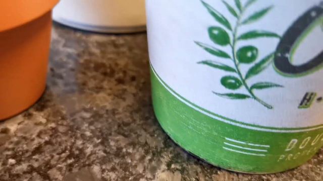 My Ficus Elastica & Repotting Unknown Plant смотреть онлайн