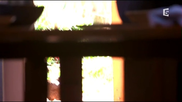 Pierre Rabhi, les clés du paradigme - 10.04.2015 France 5 смотреть онлайн