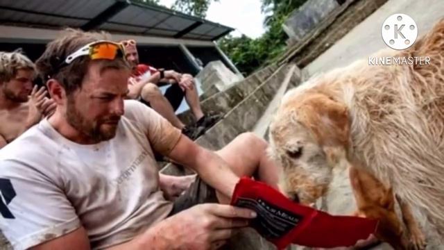 Спортсмены накормили бездомную собаку и не подозревали, к чему это приведет смотреть онлайн