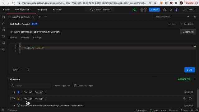 WebSocket Requests | Postman Level Up