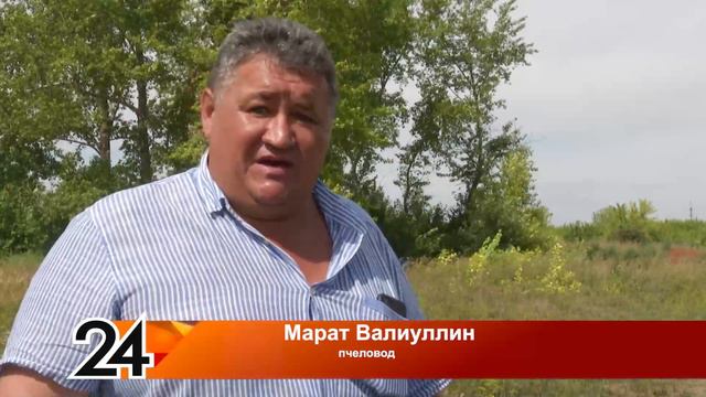 На небольшой пасеке, расположенной у села Уланово, появился апидомик. смотреть онлайн