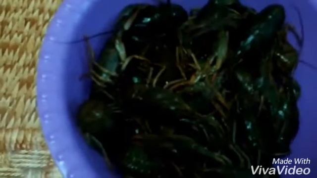 Вареные раки смотреть онлайн
