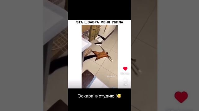 VID-20231112-WA0002.mp4 смотреть онлайн