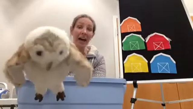 Farm Storytime смотреть онлайн