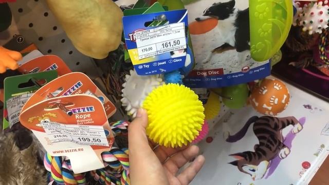 VLOG(Едем в зоомагазин,покупаем собакам подарки)