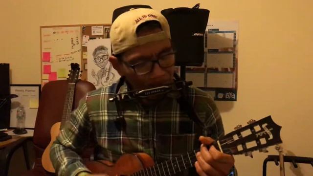 Make you feel my love - Bob Dylan | Ukulele & harmonica cover смотреть онлайн