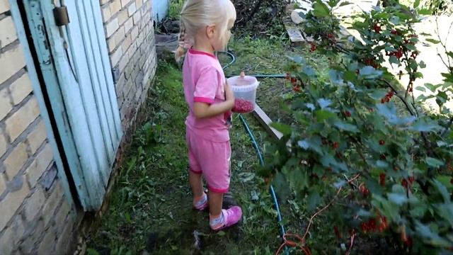 МЫ ВЕРНУЛИСЬ:) Первые дни отпуска- ДАЧА, ягоды, купаемся! смотреть онлайн