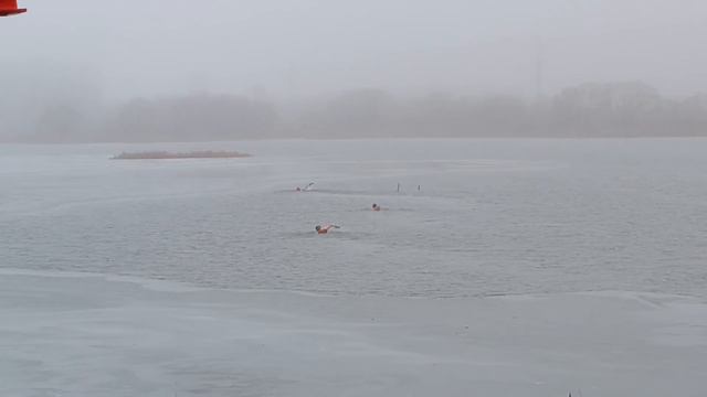тренировка смотреть онлайн