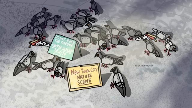 Study Session / Late Night Study / Reading ? ivoadventures - nyc nature scene ? ✏️ speed drawing смотреть онлайн