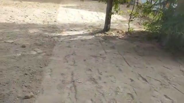 Газонный грунт. Какой грунт заказать лучше? смотреть онлайн