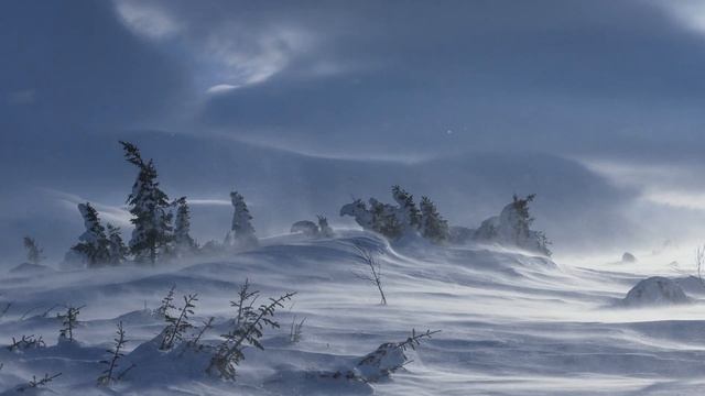 Баллада о ненависти и любви. (Эдуард Асадов) смотреть онлайн