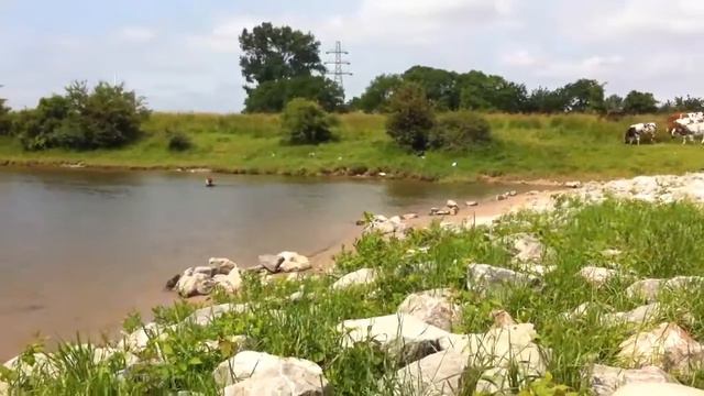 [Dutch Rijn] Летний денек на р. Рейн в Голландии // Прогулки по Нидерландам #32 смотреть онлайн