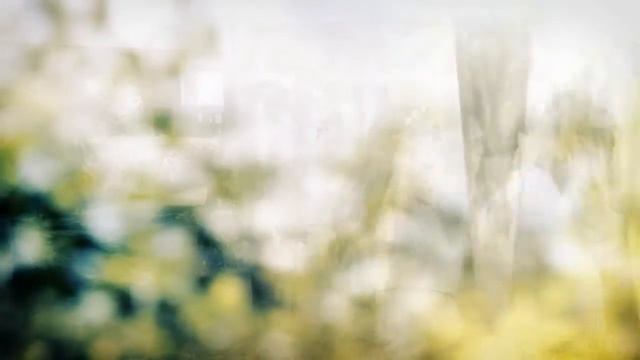JM+EVELYN Prenuptial Video смотреть онлайн