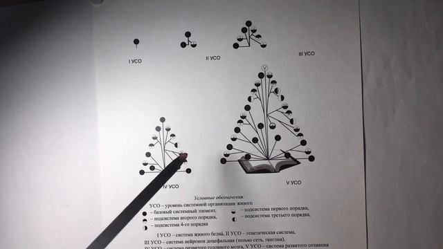 Научно-познавательный цикл «Системный метаморфоз и закон сохранения пространственной чётности». смотреть онлайн
