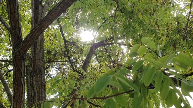 Обзор влогов \ Семья в городе Life \ Елена Ильичева \ Ох, уж эта "ПАХУЧАЯ" женщина) \ Защищаю Лену смотреть онлайн