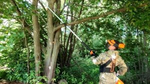 Высоторез STIHL HT 133  и HTA 85. Бензо или акку? Обзор, сравнение, работа!