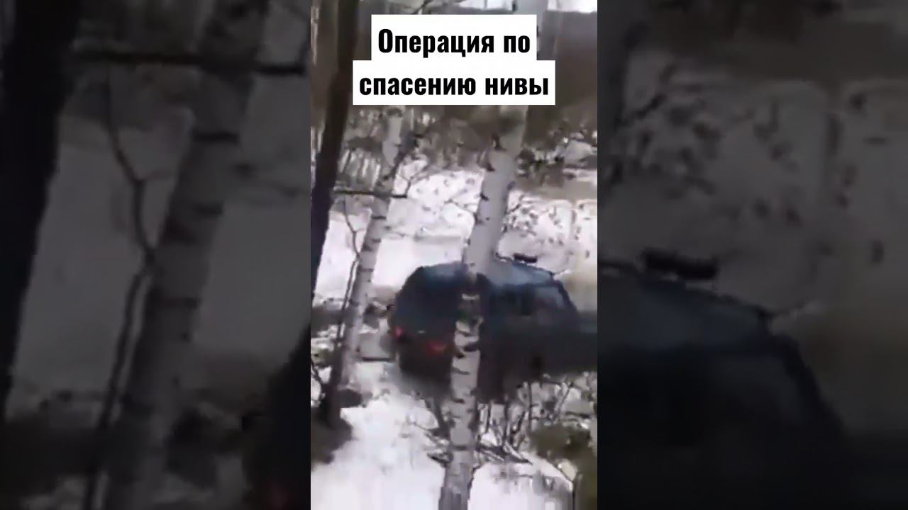 #offroad #оффроуд #бездорожье #niva #russia #нива #nissan #terranova смотреть онлайн