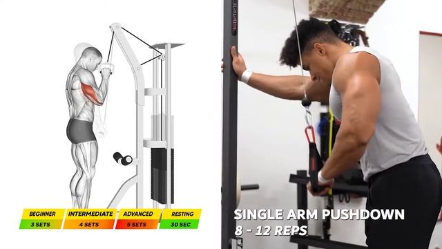 6 Biceps and Triceps Exercises To Try In Your Next Workout !! смотреть онлайн