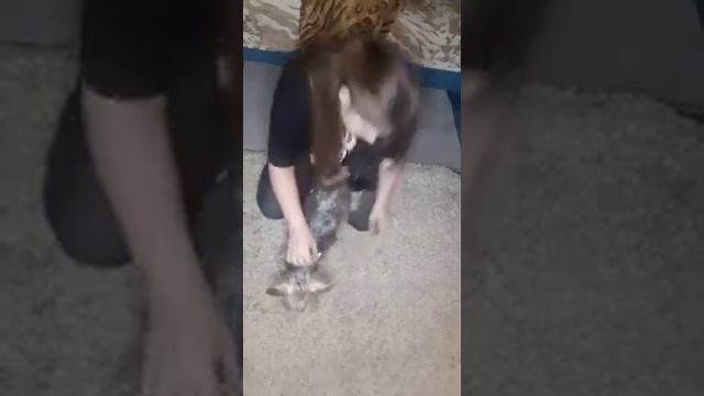 Сделай Это Сам