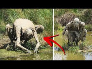 10 Самых Страшных Находок в Лесу