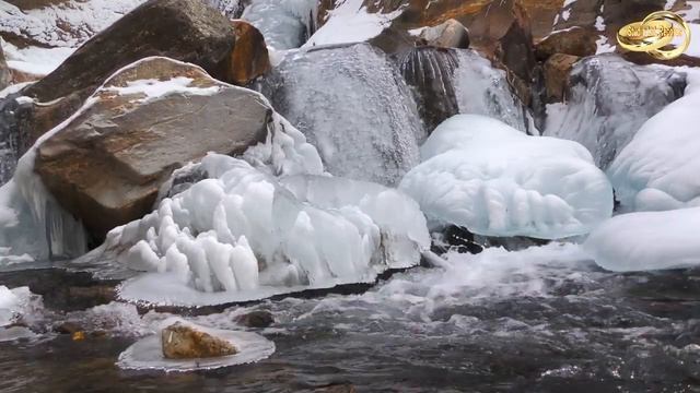 The Forest Waterfall The Calming Sound of Water смотреть онлайн