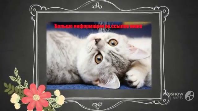 Туалетная вода Demeter Fragrance Library смотреть ролик смотреть онлайн