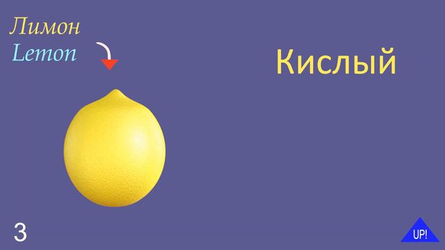 Вкус на английском. Taste In English And Russian