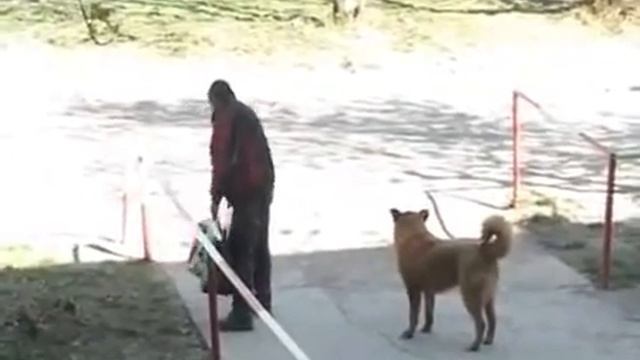 алкаши по русски смотреть онлайн