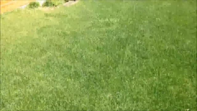 ДОМАШНИЕ ХЛОПОТЫ.НОВЫЙ СТАНОК. САНЬКА И ЗЕРКАЛО смотреть онлайн