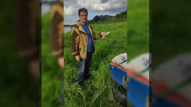 Оловянная или Розовая свадьба! смотреть онлайн