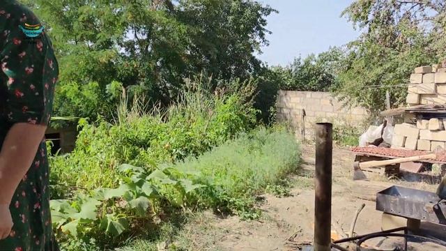 Заготовки из алычи на зиму. Готовим Лезгинское Цуру. Кислый соус из алычи. #Алычаназимурецепт смотреть онлайн