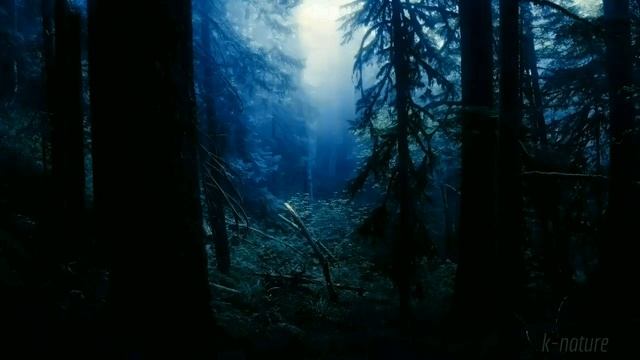 Можно ли здороваться с противоположным полом за руку? Если нет, то как избежать этого? смотреть онлайн