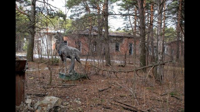 Бывшие пионерлагеря Лесная республика. Гагарин в селе Верхотомское смотреть онлайн