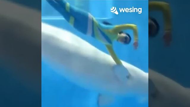 Fleurs Du Mal(Live In Stephansdom, Vienna, Au) смотреть онлайн