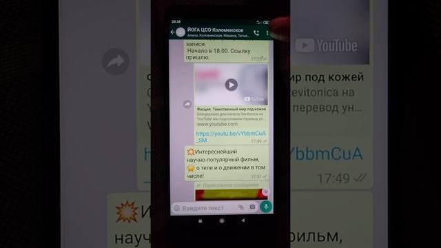 Как быстро найти фото в WhatsApp и почистить память смотреть онлайн