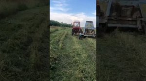 т 25 работает с кир 1.5