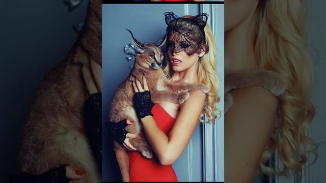 время и стекло гармошка (мяу мяу мяу ты меня променял на какую то ободранную кошку )??❤ смотреть онлайн