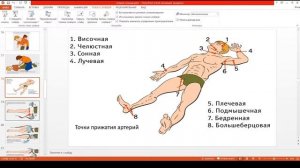 Основы оказания первой помощи. Наложение шины