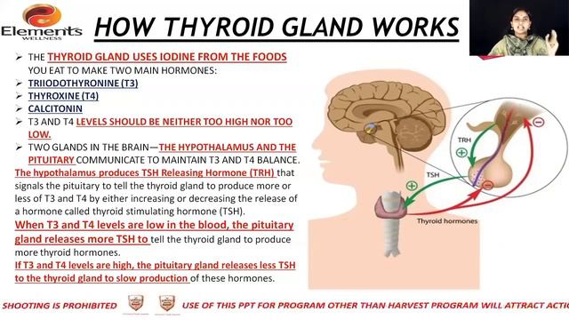 In Malayalam-Thy Health- Brought to you by Elements Wellness смотреть онлайн