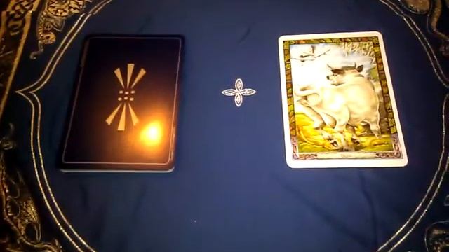 Oracle reading. смотреть онлайн