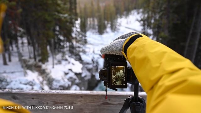 Nikon Z 6II Review | Sample Photos and Videos смотреть онлайн