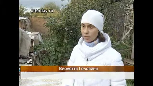 zemlyanka VP6 896K 25p смотреть онлайн