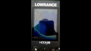 В работе Lowrance hook-3x DSI