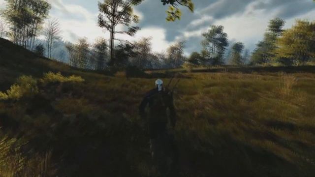 САМЫЕ РЕДКИЕ ДОСТИЖЕНИЯ В The Witcher 3: Wild Hunt смотреть онлайн