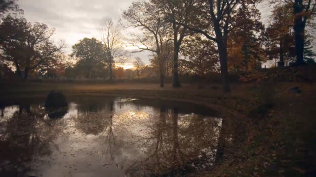 Осень в Time Lapse HD смотреть онлайн