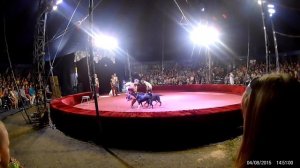 Цирк Шапито