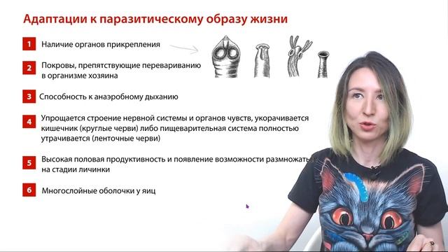 Вариант досрочного ЕГЭ по биологии | Досрок по биологии | ЕГЭ-2024 по биологии смотреть онлайн